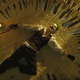 Image: Warner Bros.